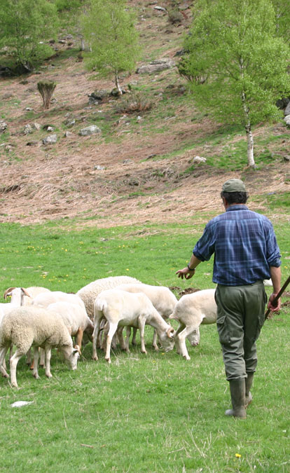 Classe pastoralisme Auzat Ariège