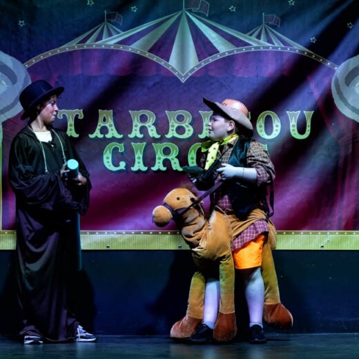 Spectacle enfants Tarbesou