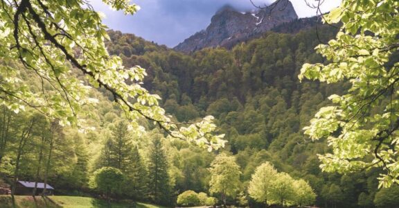 Montagne Ariégeoise