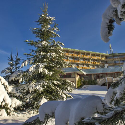 Village Club Le Tarbesou ****