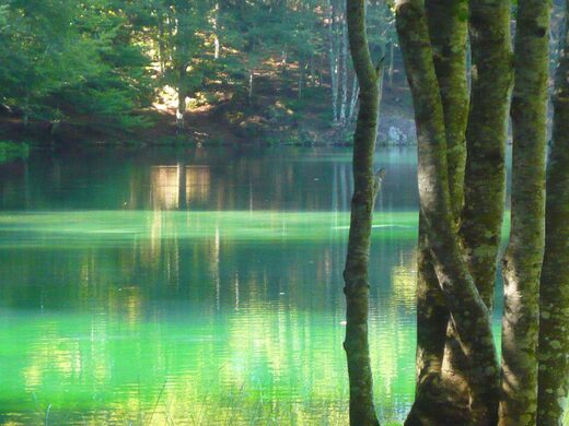 Parc de la Préhistoire de Tarascon-sur-Ariège : guide complet pour une visite en famille