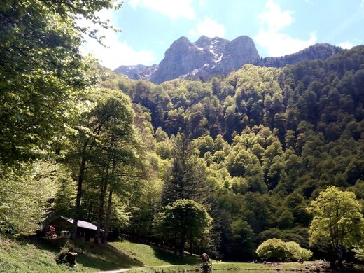 Escapades romantiques en Ariège : Nuits de rêve pour couples amoureux