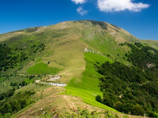 La route des fromages d’Ariège : un voyage gastronomique dans le Couserans