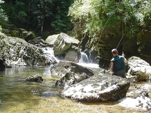 Pêche à la truite en Ariège : parcours No Kill, lacs d’altitude et rivières sauvages