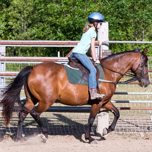 Classes à thème en Ariège : énergies, théâtre et équitation