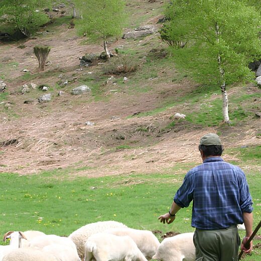Classes montagne en Ariège : exploration, traditions et escalade