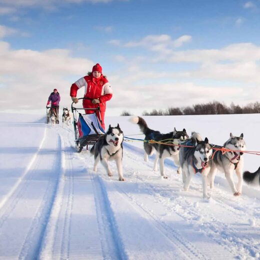 Séjours éducatifs en Ariège pour enfants : ski, raquettes et traîneaux