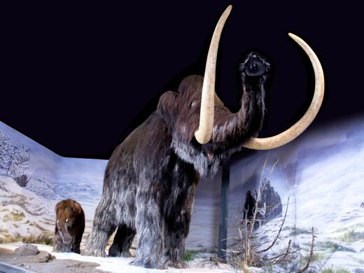 Las 14 visitas obligadas de Ariège