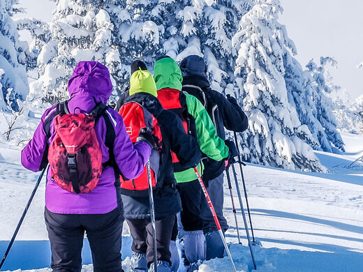 Séjour ski ou raquettes